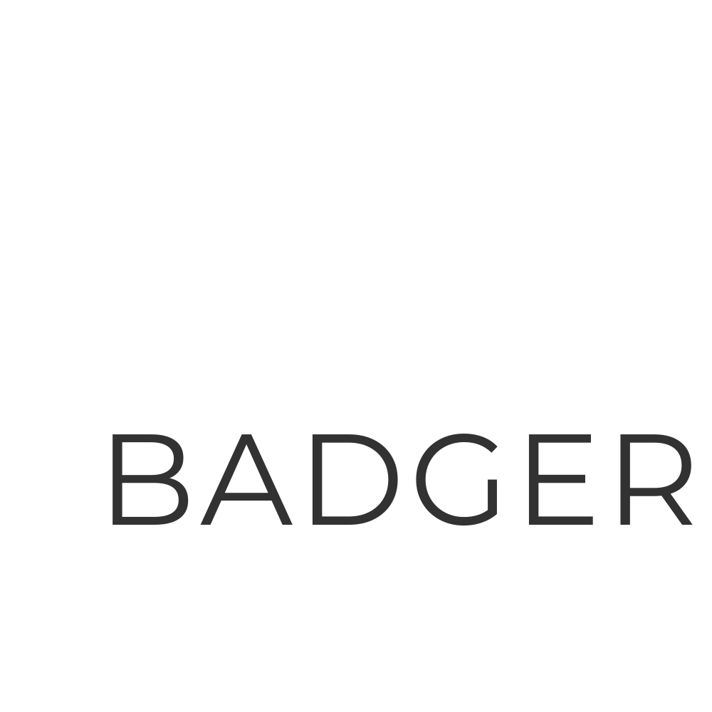 BadBadger Information Security logo with a geometric badger